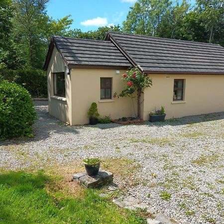 Sea View 1-Bed Cottage With Private Garden Skibbereen Exterior photo