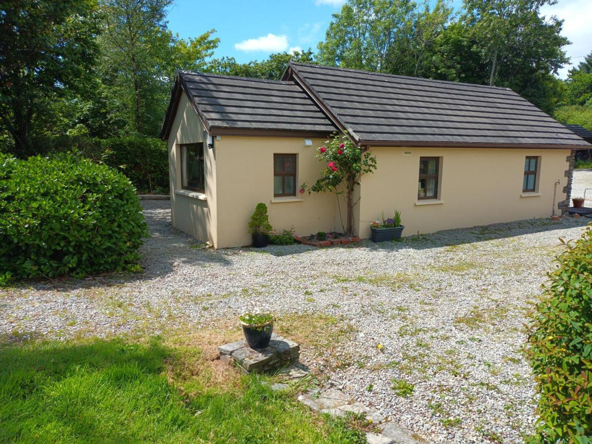 Sea View 1-Bed Cottage With Private Garden Skibbereen Exterior photo