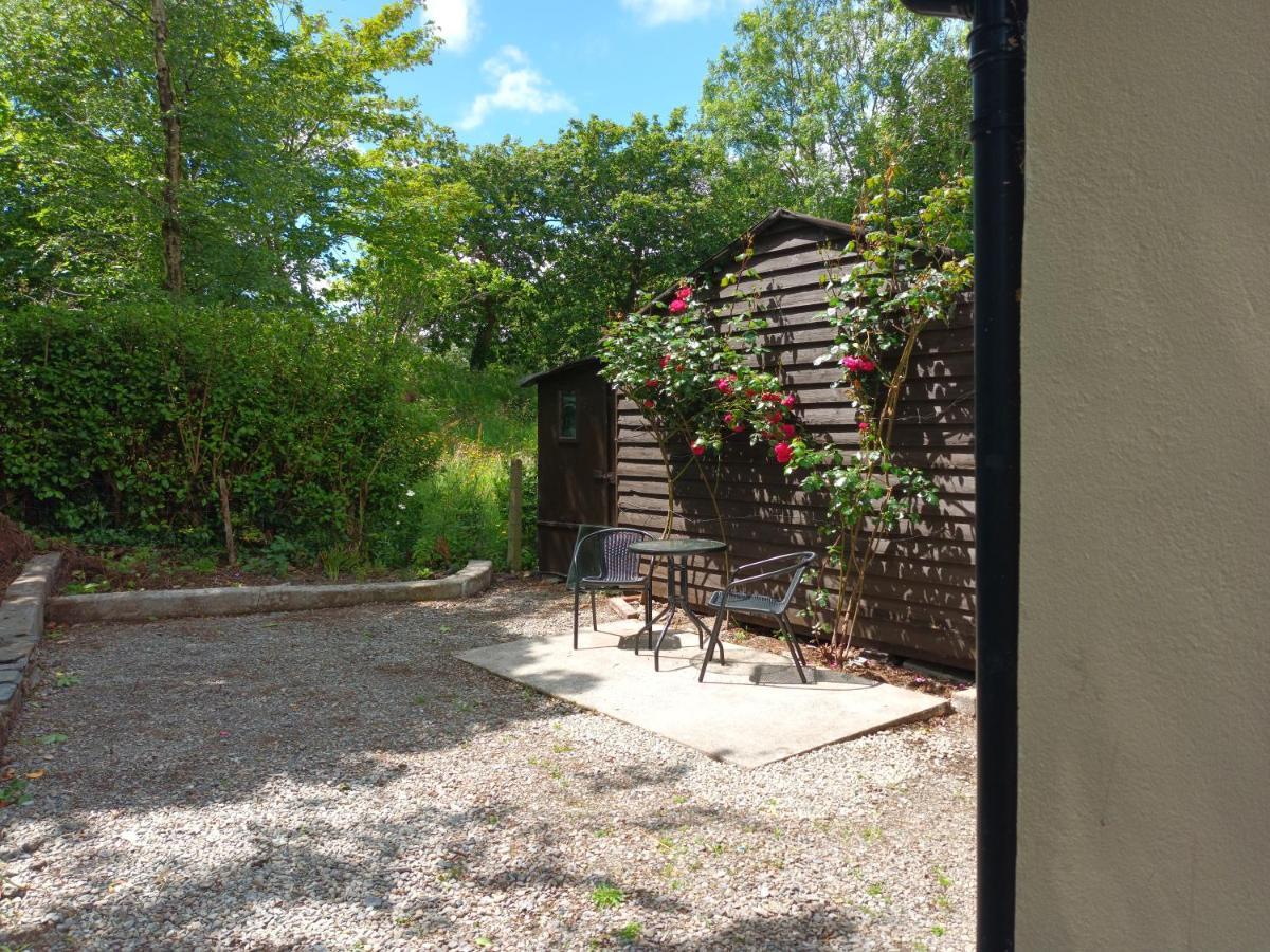 Sea View 1-Bed Cottage With Private Garden Skibbereen Exterior photo