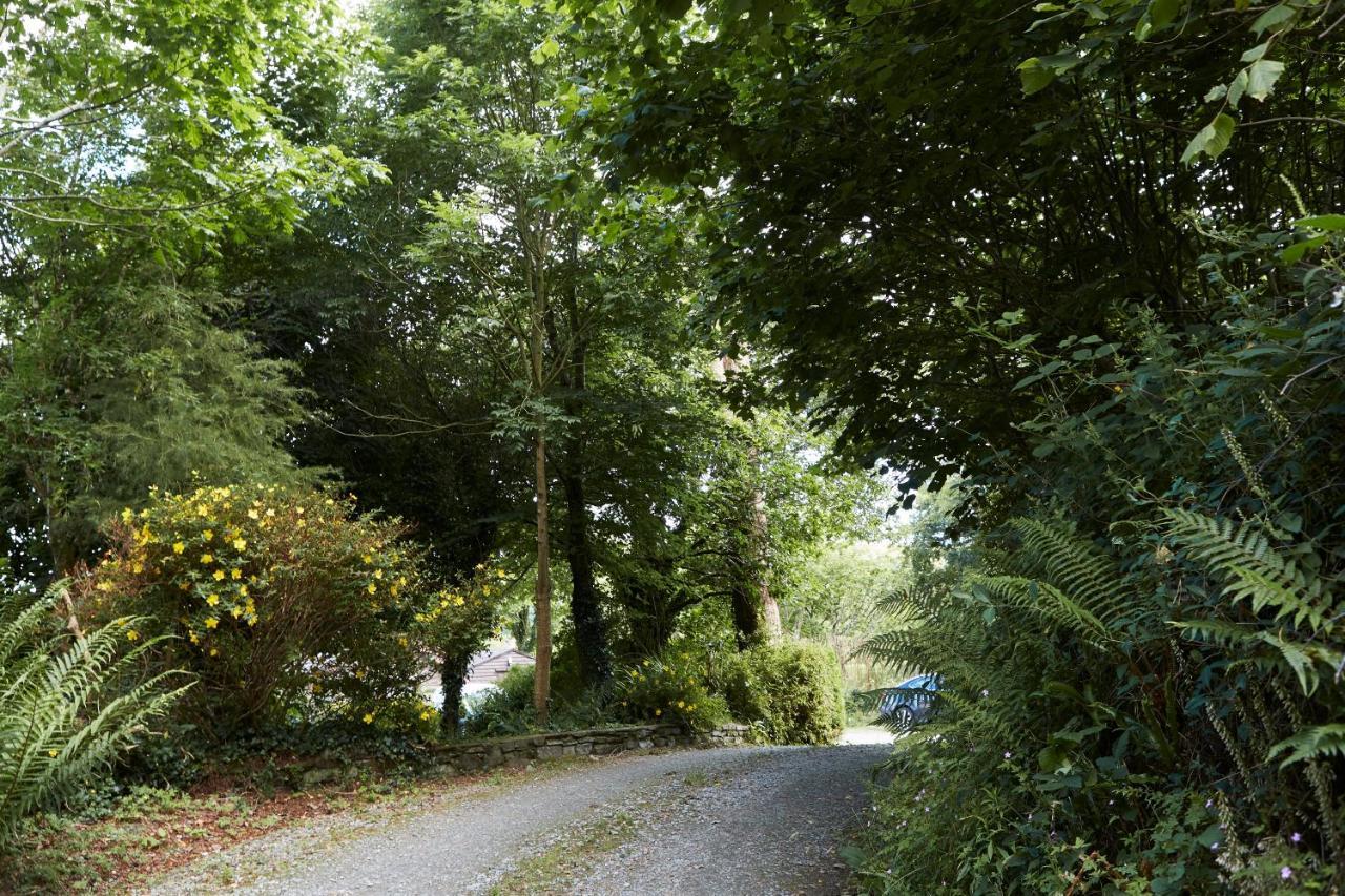 Sea View 1-Bed Cottage With Private Garden Skibbereen Exterior photo